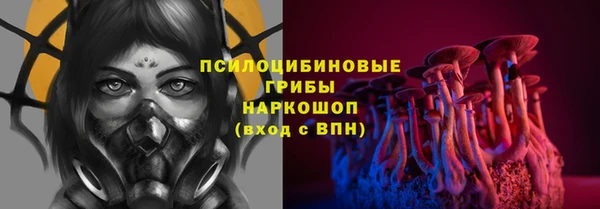 дмт Протвино