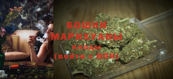 дмт Протвино