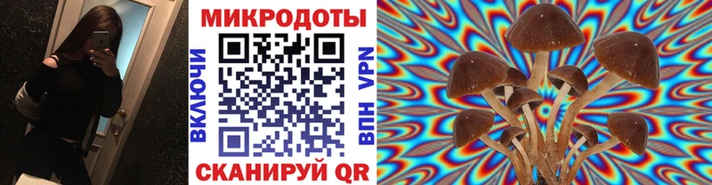Галлюциногенные грибы прущие грибы  Купить где  Топки 